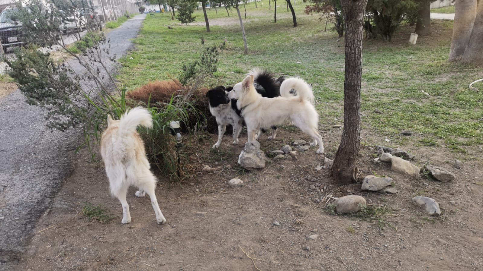 Kiara y Mili