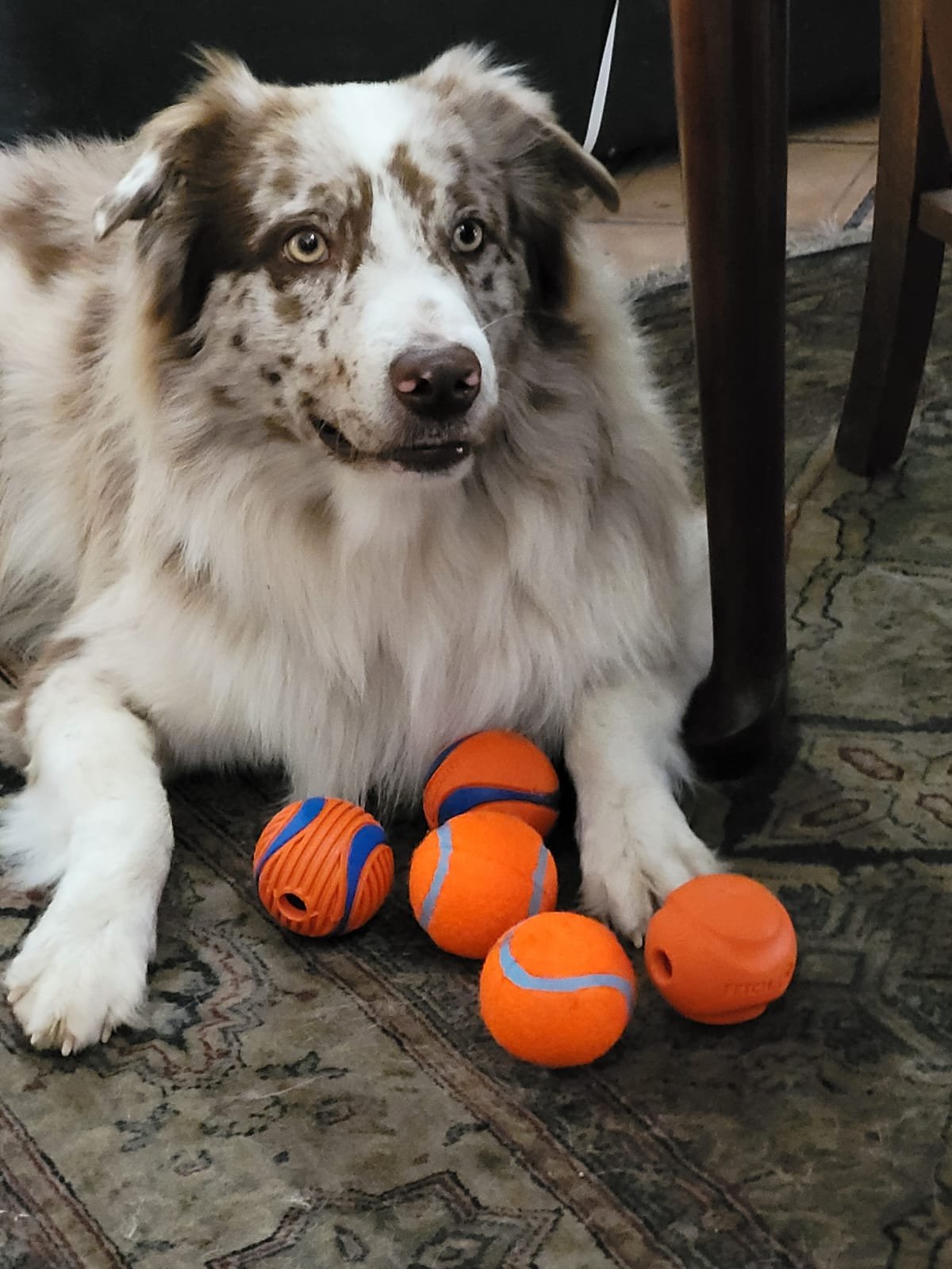 Camilo y pelotas
