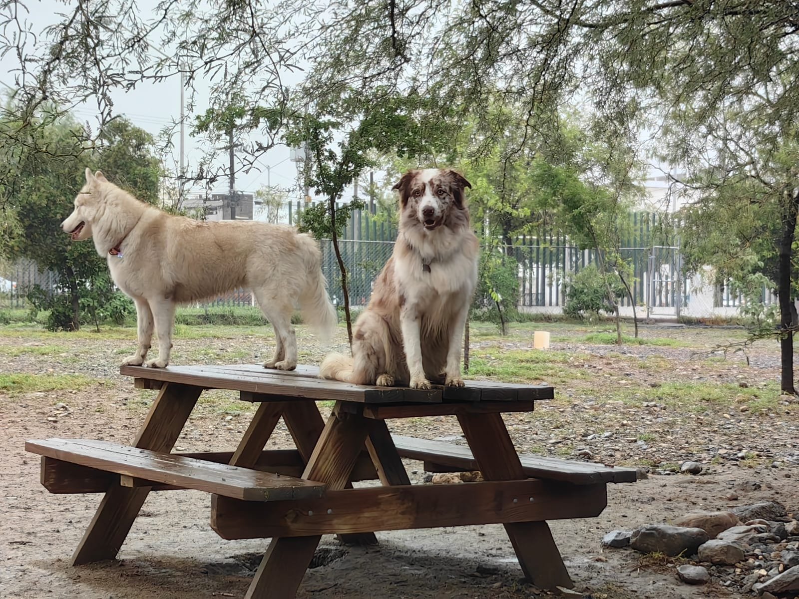 Camilo y Kiara
