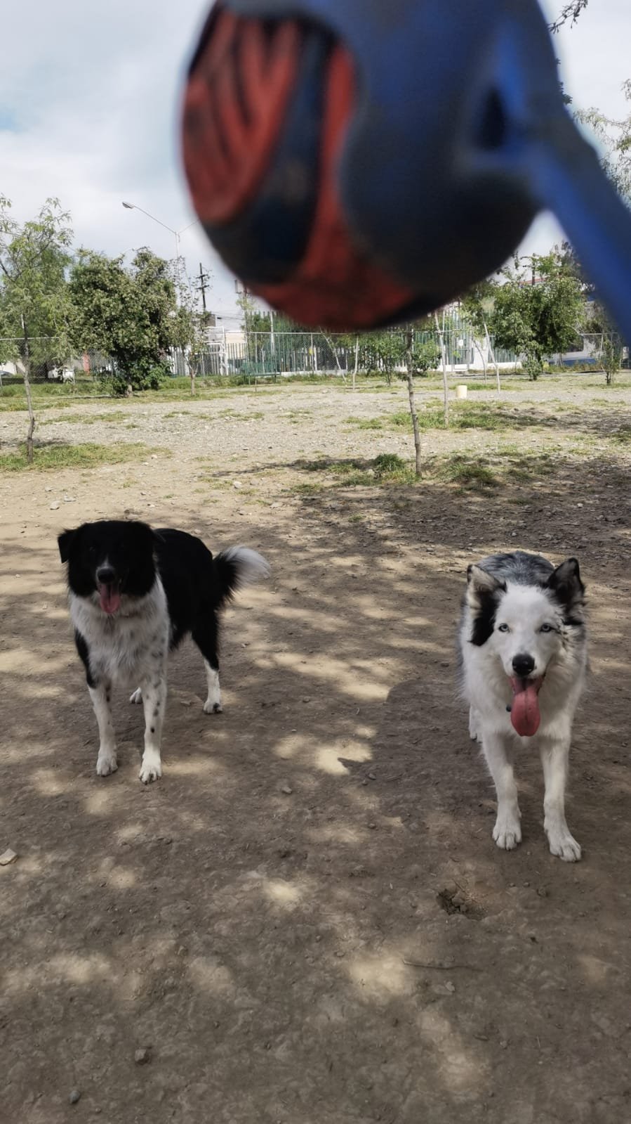 Mili y Bruno